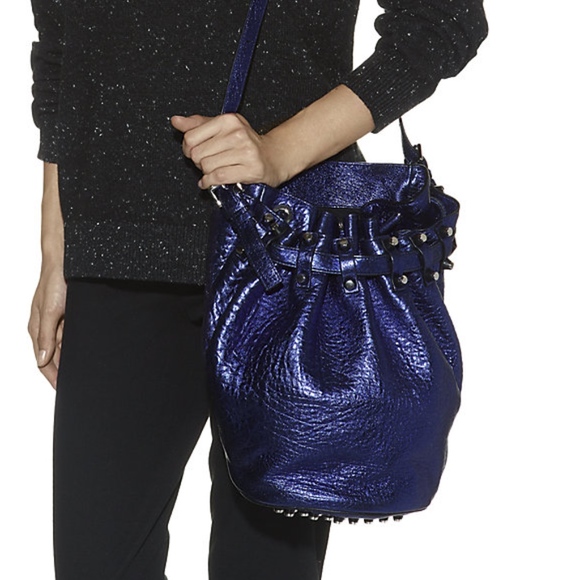 alexander wang riot bucket bag